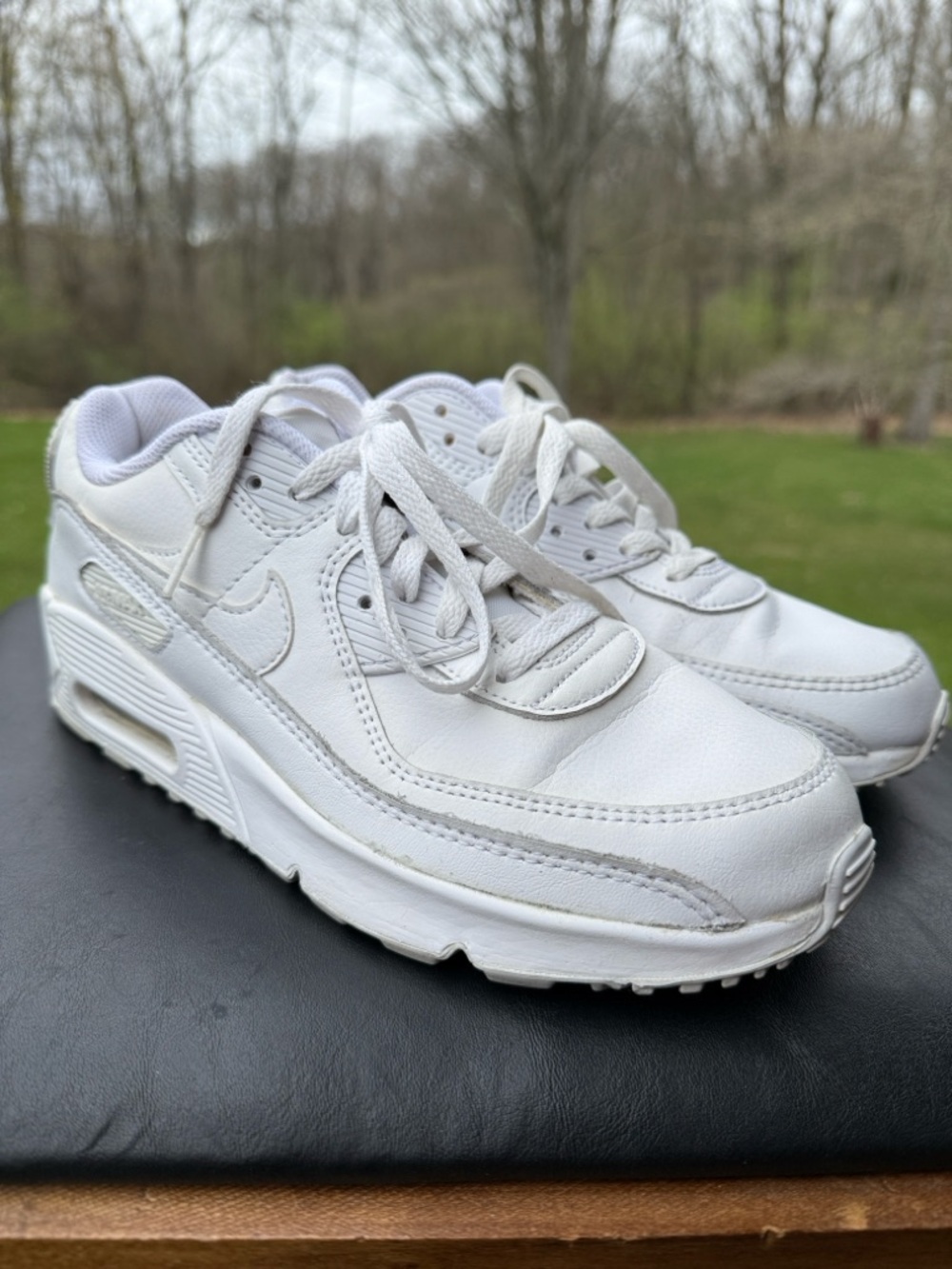 Nike Women's White Leather Sneakers - Classic Low-Top Trainers